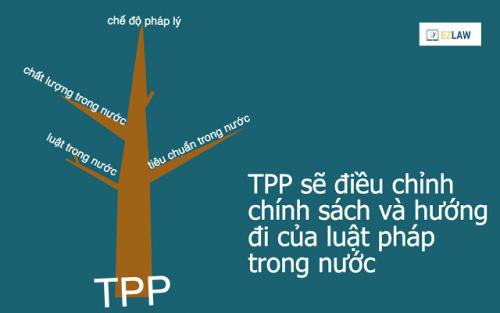 TPP 1